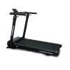 Generation Fitness Lemmus